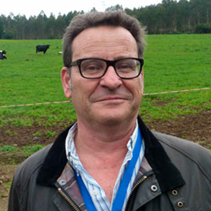 Profesor