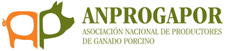 Profesor