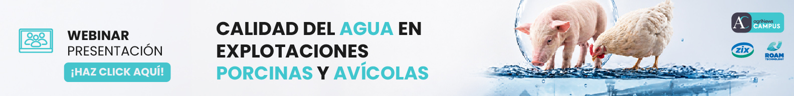 Ver vídeo
